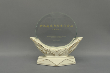 浙江省成長(cháng)型文(wén)化企业