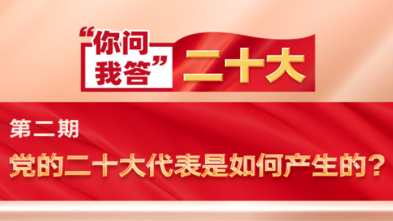 你问我答(dá)·二十大|党的二十大代表是如何产(chǎn)生的？